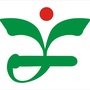昆山东方泗桥幼儿园公众号ico