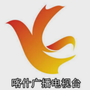 喀什广播电视台ico