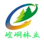 崆峒林业ico