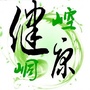 康养崆峒ico