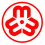 陇南康县妇联ico