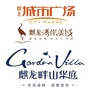 麒龙集团开阳公司ico