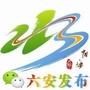 六安发布ico