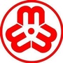 临安妇联ico