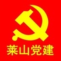 莱山党建ico