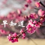 莱芜早知道ico