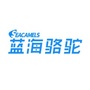 蓝海骆驼公众号ico