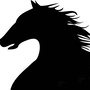 老马说资质公众号ico