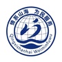 崂山网格ico