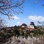 屯留老爷山ico