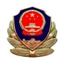 平安川口公众号ico