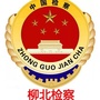 柳北检察ico