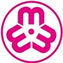 灵璧女性ico