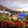 百里锡山公众号ico