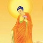 龙川金华寺ico