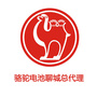 骆驼蓄电池聊城总代理ico