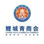 鲤城青商会ico