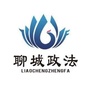 聊城政法ico
