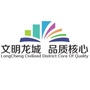 文明龙城ico