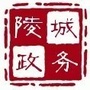陵城政务ico
