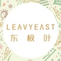 东极叶公众号ico
