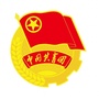 共青团雷波县委ico