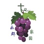 乐群更有福大家庭ico
