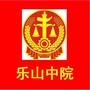 乐山中院ico