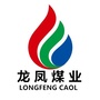 龙凤煤业ico