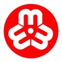 娄烦妇联ico