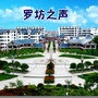 罗坊之声ico