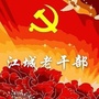 江城老干部ico