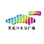 1045汽车人公众号ico