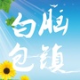 白脑包镇人民政府ico
