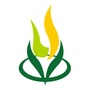 罗湖区桂园小学ico
