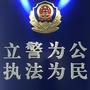 临河森林卫士ico