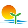 漯河清艳英语ico