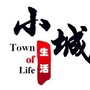 漯河小城生活ico