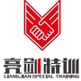 亮剑研学公众号ico