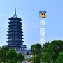良庆警方ico