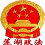 莲湖政法ico