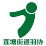 莲塘羽协ico