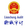 聊城审计ico