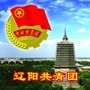 辽阳共青团ico