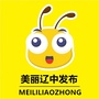 辽中那些事儿ico