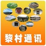 黎村通讯ico
