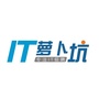 IT萝卜坑ico