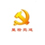 道里检察党员之家ico