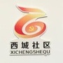 李家西城西村ico