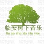 临安树下音乐ico